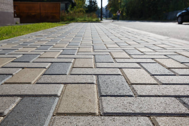 Best Driveway Paving Near Me  in Csar Chvez, TX