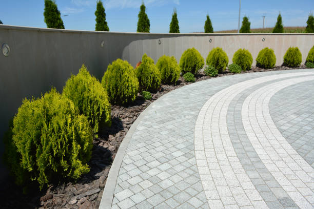 Reasons to Select Us for Your Driveway Paving Requirements in Csar Chvez, TX