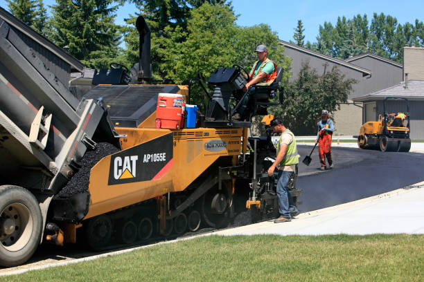 Best Decorative Driveway Pavers  in Csar Chvez, TX