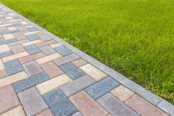 Best Interlocking Driveway Pavers  in Csar Chvez, TX